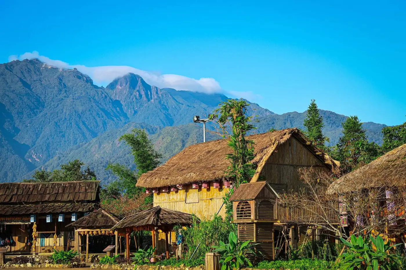 Traditional thatched stilt houses in a Sapa mountain village