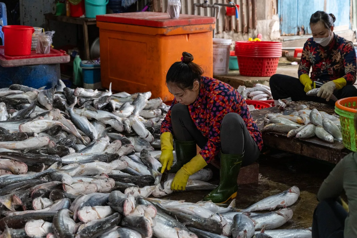 Vendors sorting the morning catch at a Vietnamese fish market