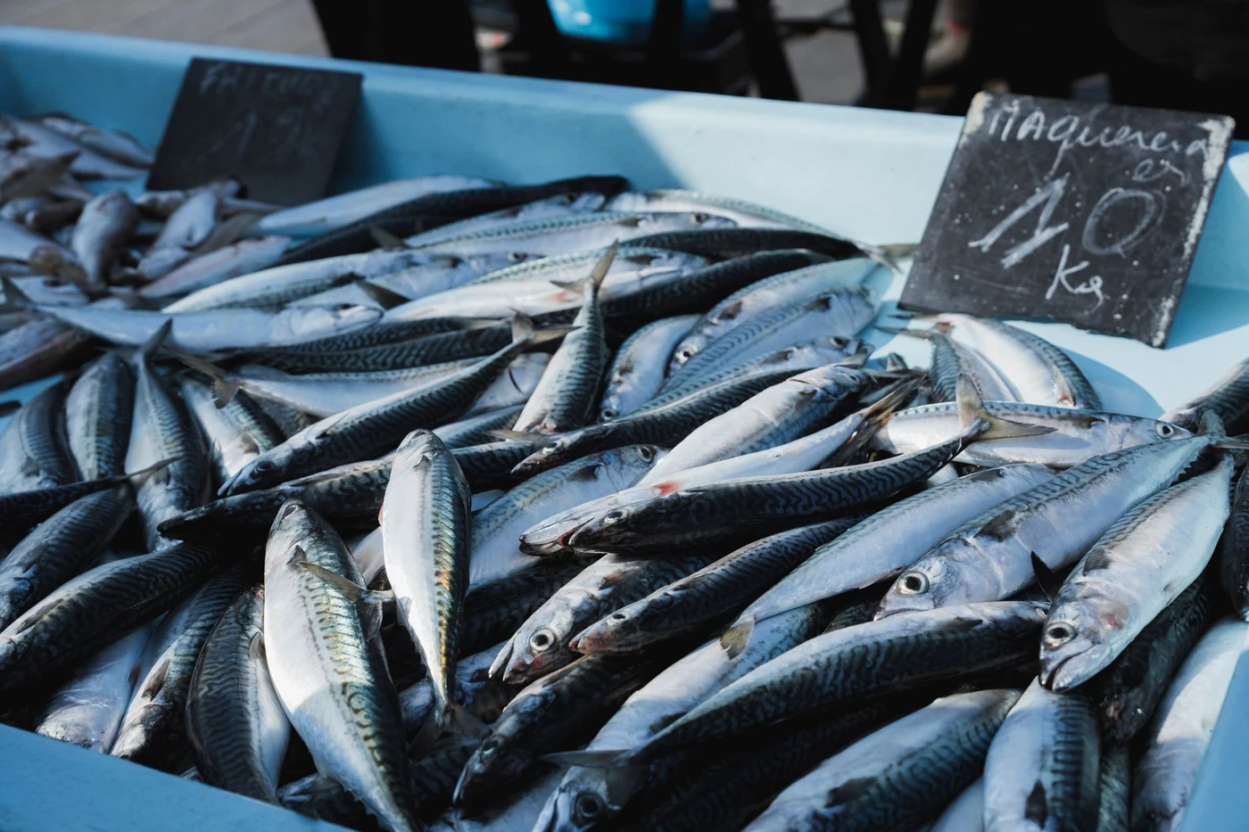 Fresh mackerel on display at a seafood counter