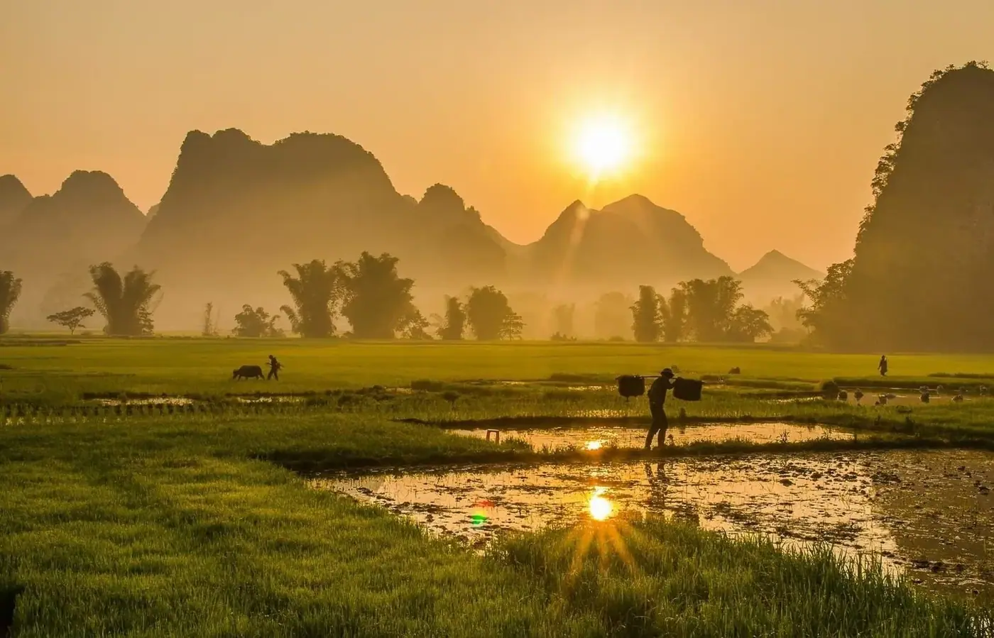 Hand holding a mobile SIM card in Vietnam
