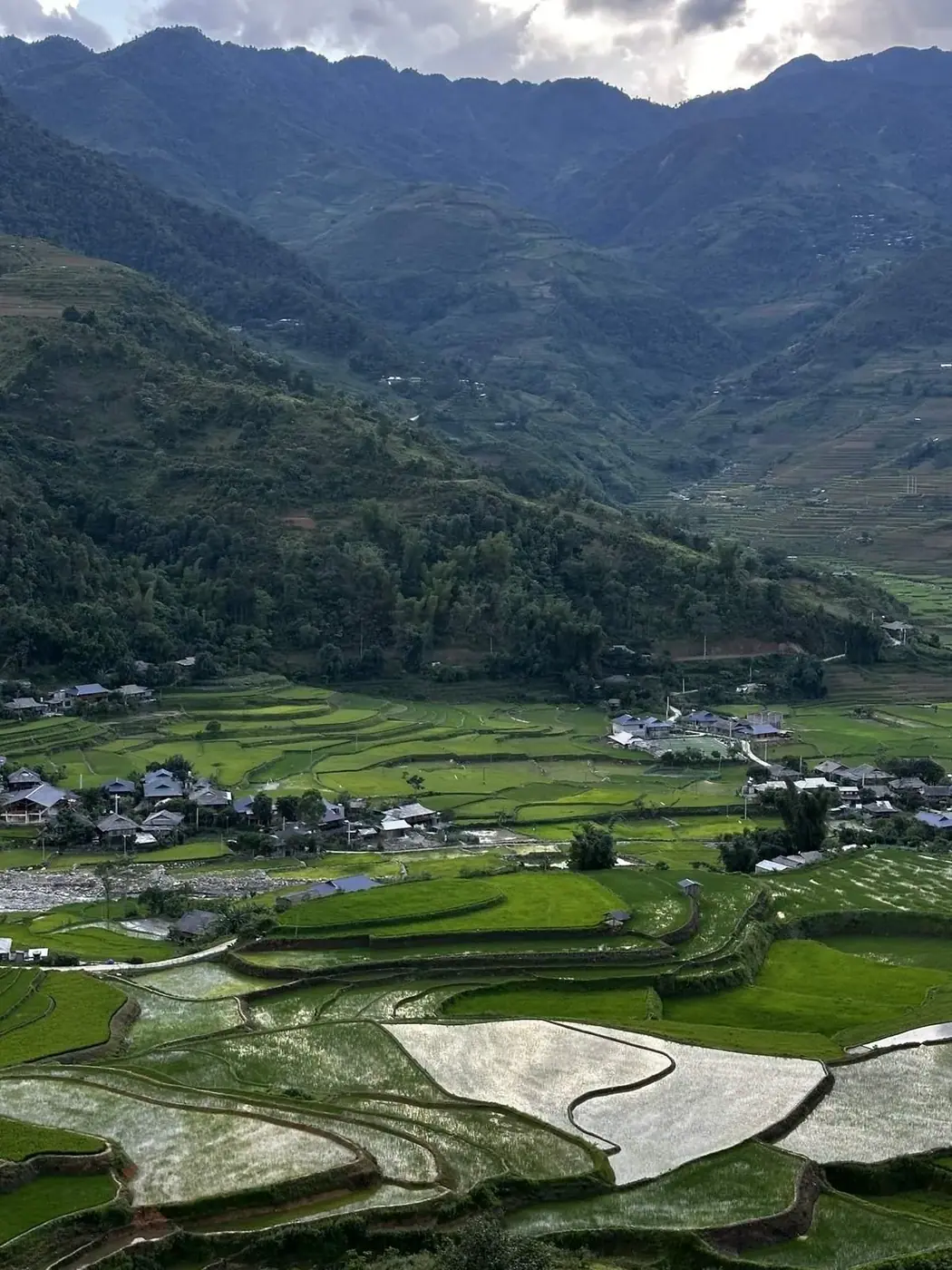 Vietnam rice terraces in mountain valley at dusk