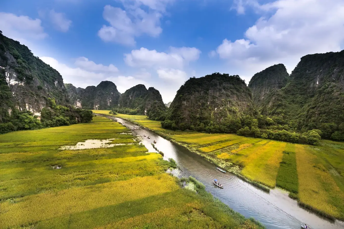 Aerial view of a river winding through golden rice paddies in Ninh Binh
