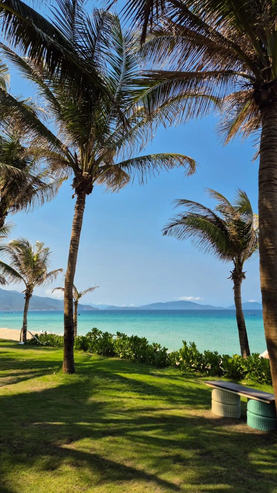 Nha Trang beach with palm tree and blue sky