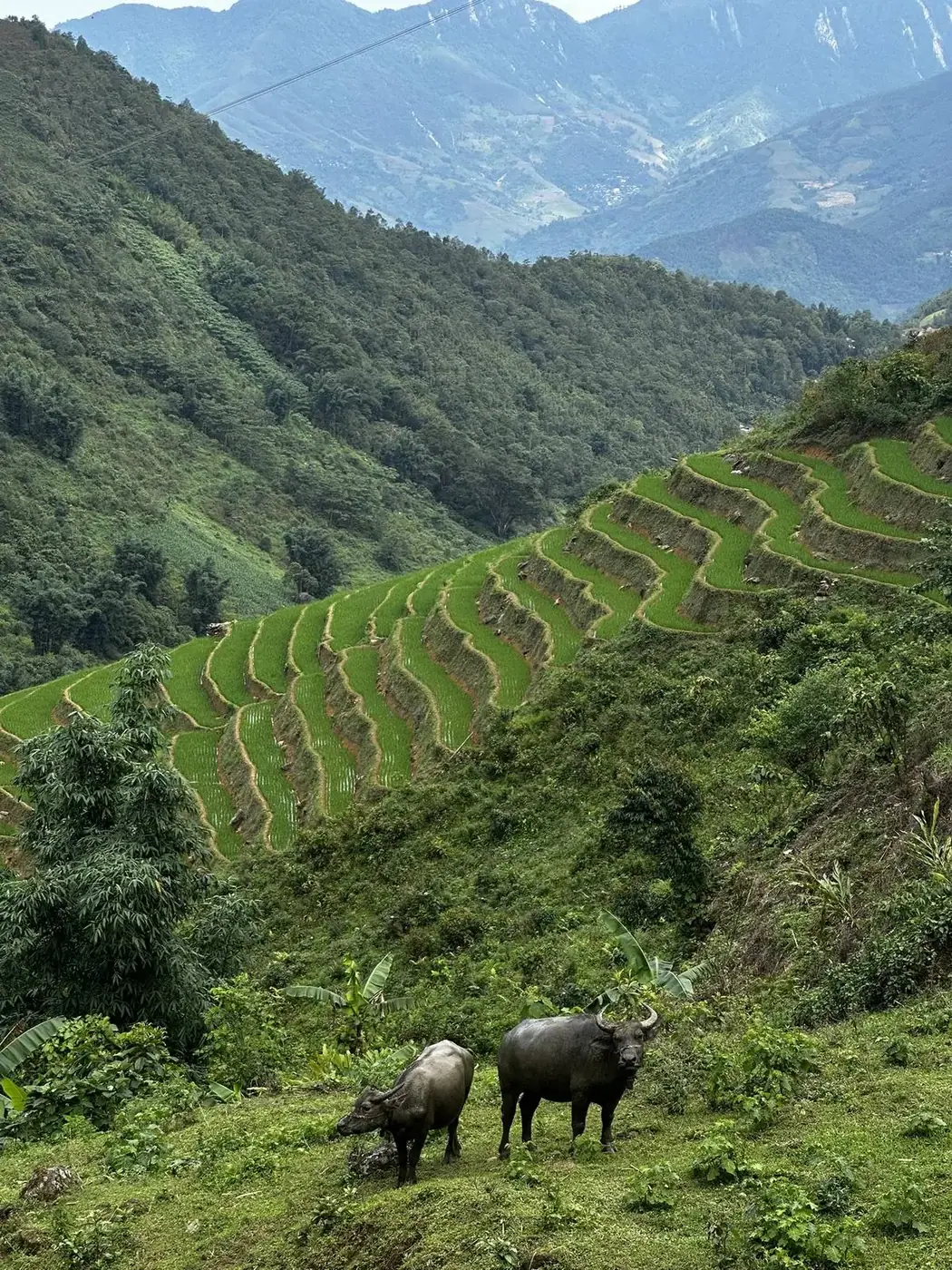 Quick comparison: 7 underrated places in Vietnam