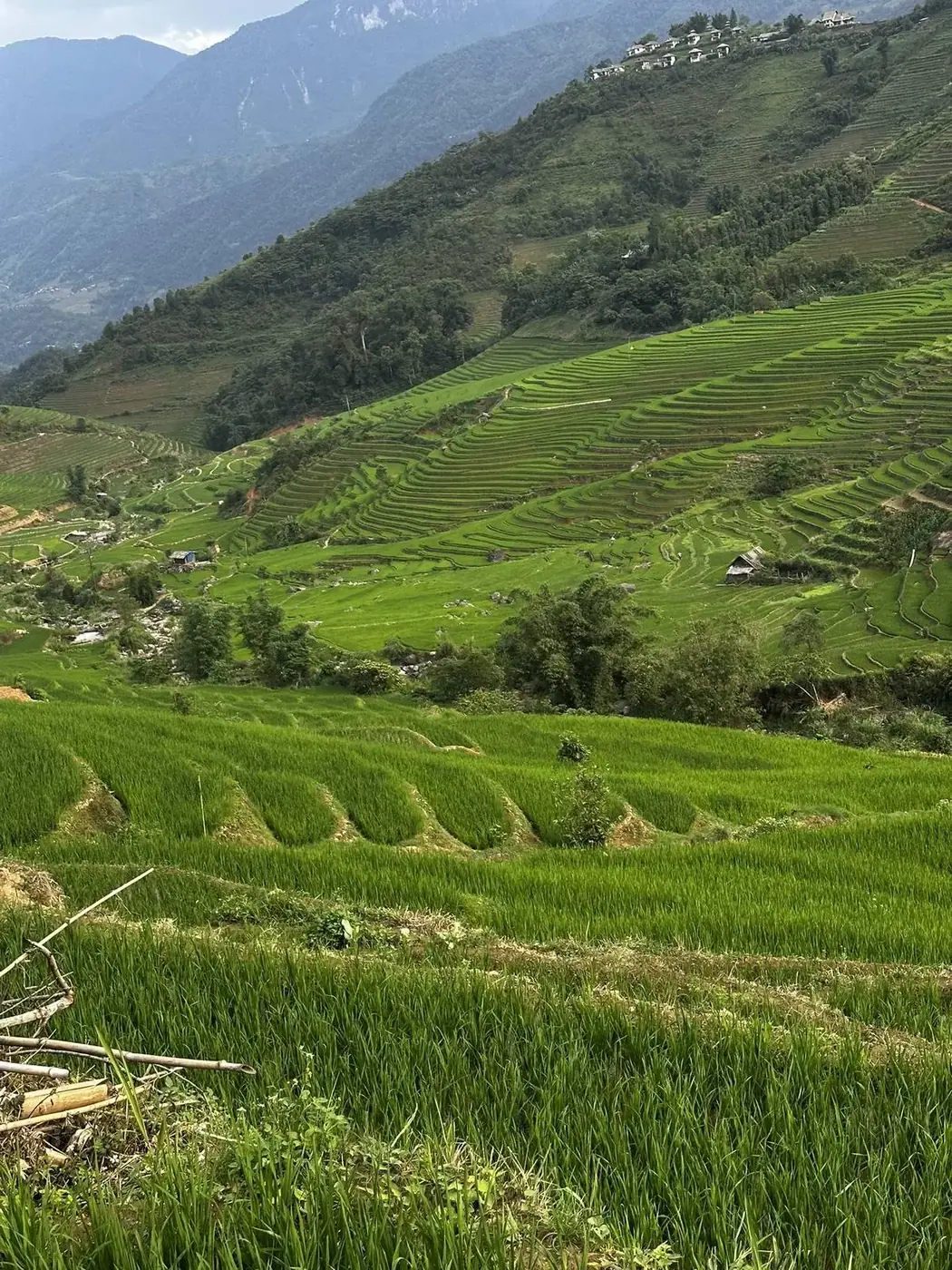 1. Sa Pa: cooler air and a bigger elevation swing than the itinerary suggests