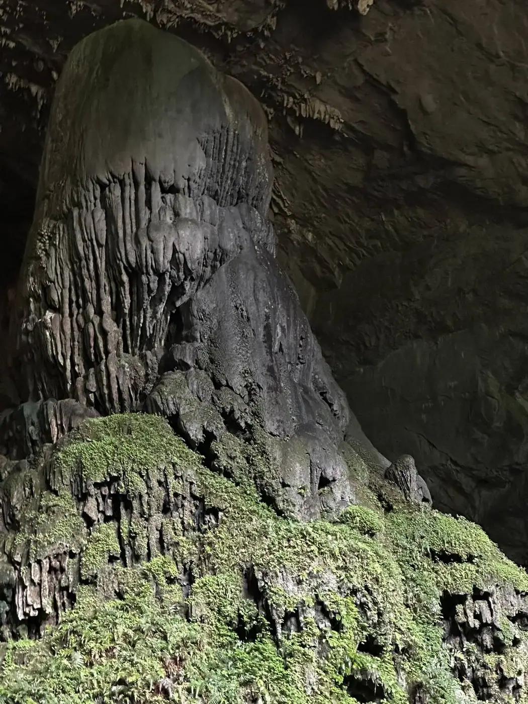 2. Ninh Bình: the UNESCO site most people give two hours instead of two days