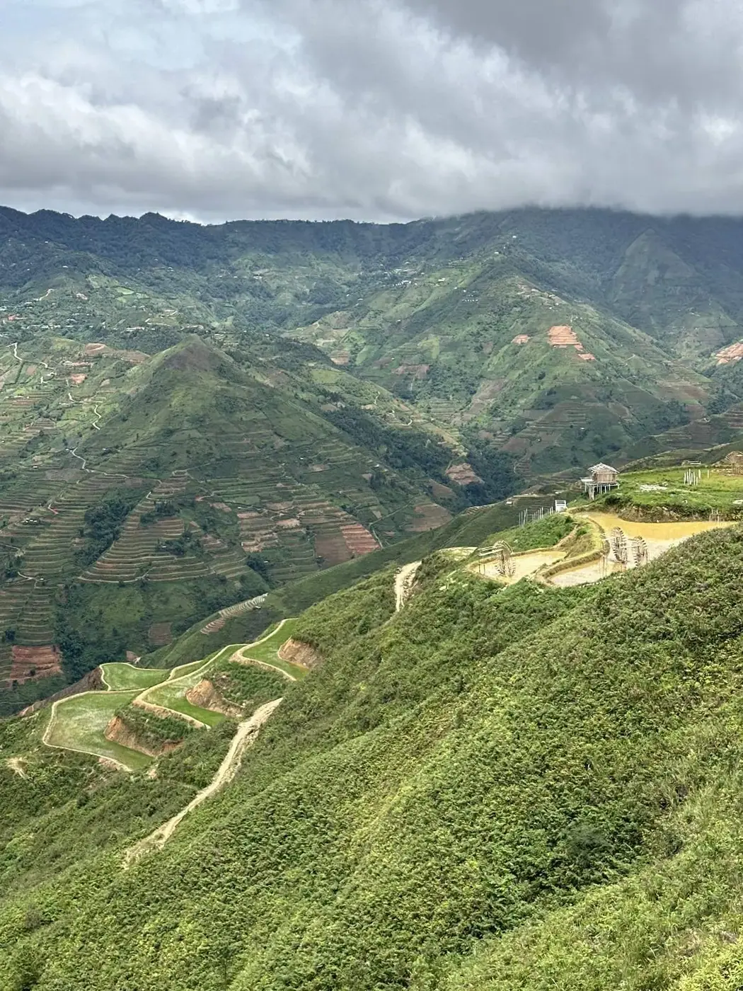 Green rice terraces carved into the mountains near Sapa