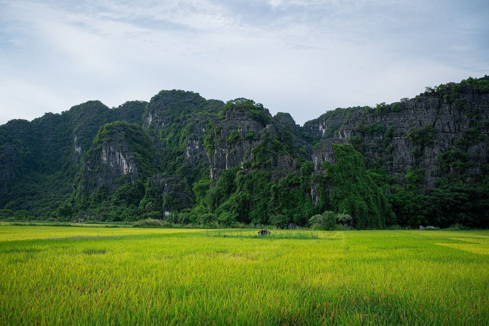 Rice paddies beneath limestone karst mountains along a Vietnam rail route