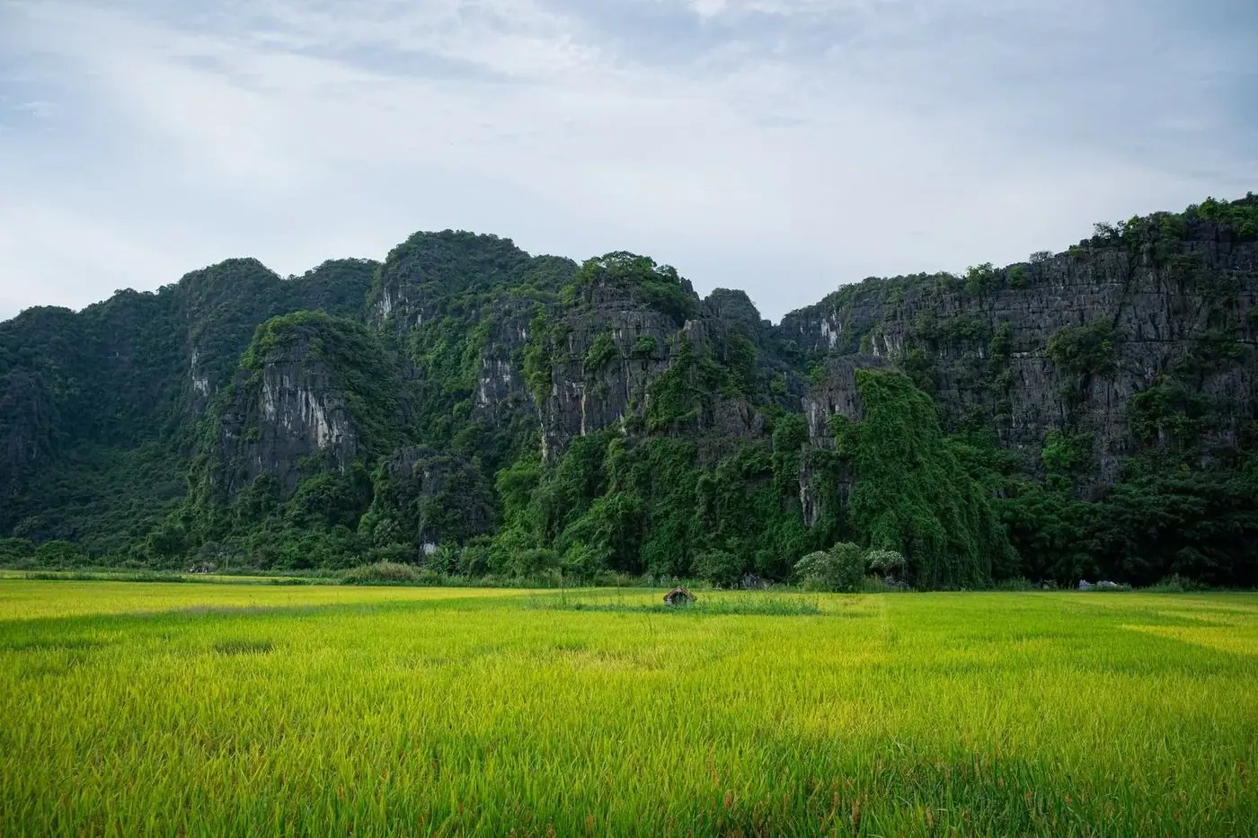 Rice paddies beneath limestone karst mountains along a Vietnam rail route