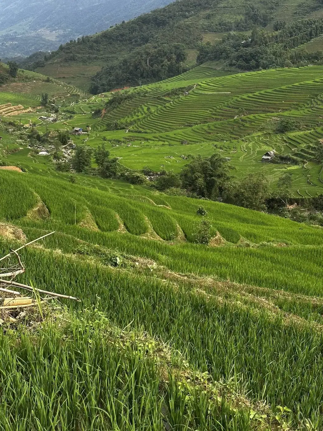 Why Coming Home After Vietnam Feels Harder Than the Trip Itself