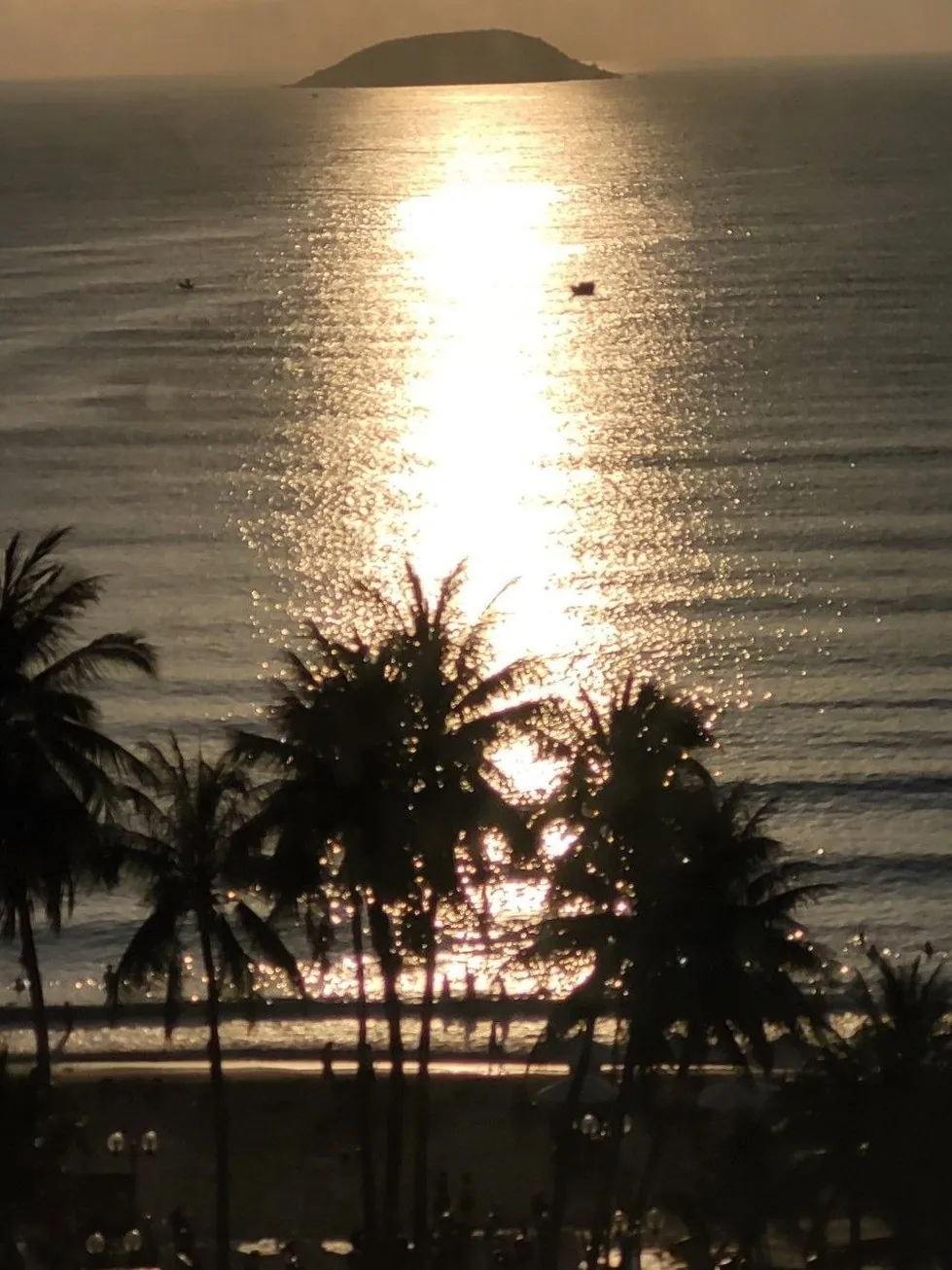 Sunset over Nha Trang bay with palm trees and a small island