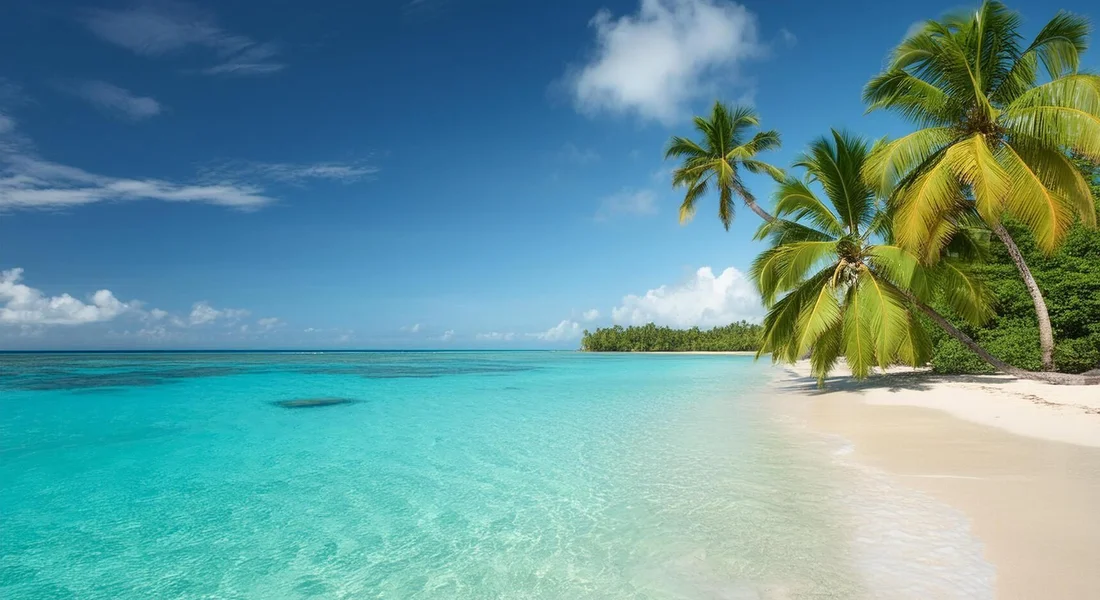 Palm-lined beach in Vietnam — calm water and clear sky