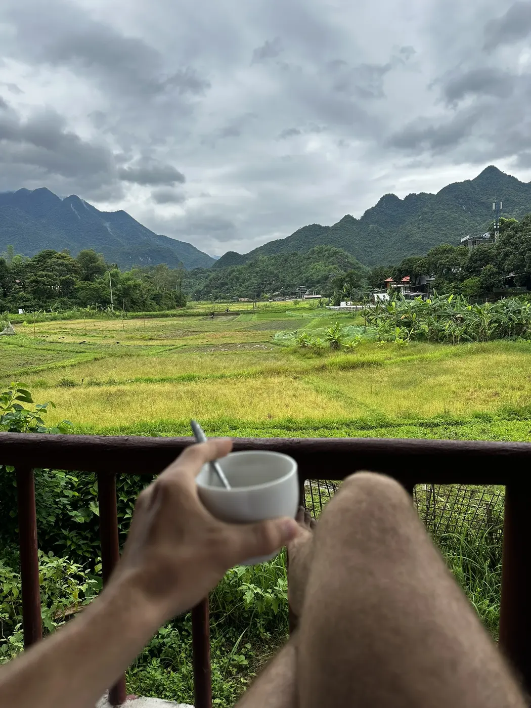 View over Ninh Binh’s rice fields and karst peaks from a hilltop