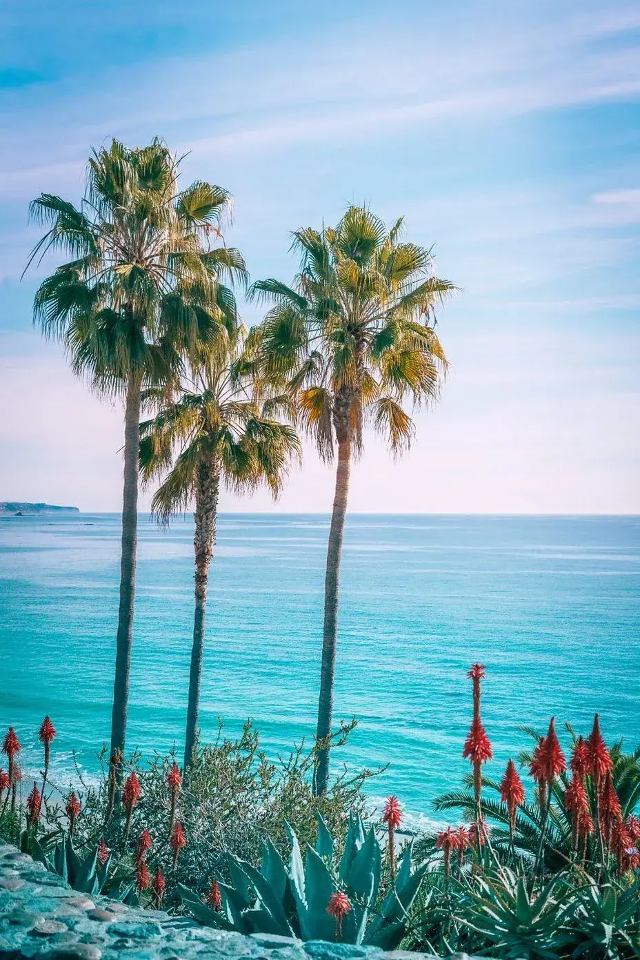 Da Nang beach with palm trees on a sunny day
