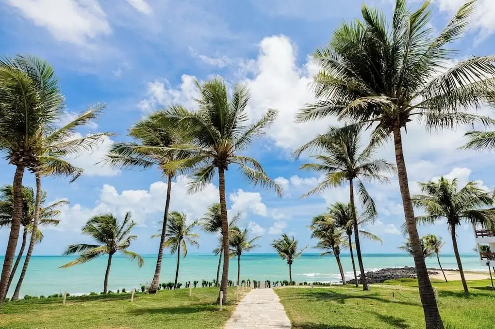 Palm-lined path to the beach in Nha Trang