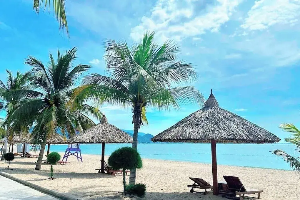 Beach loungers and umbrellas outside a Nha Trang hotel