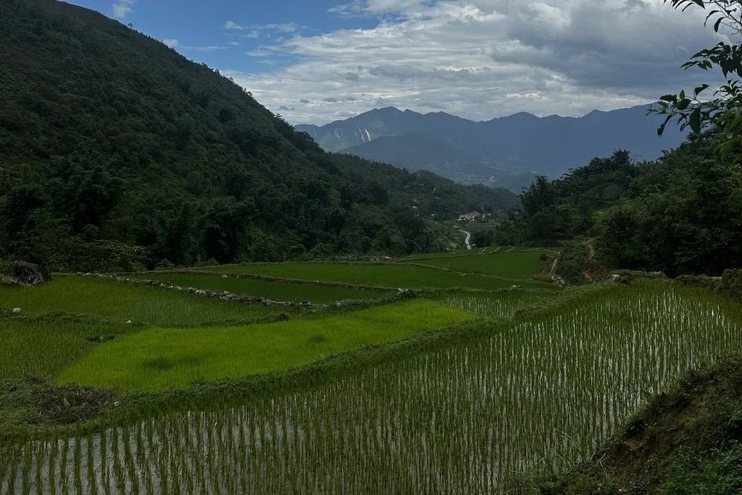 Green rice terraces in a Sapa valley under a cloudy sky