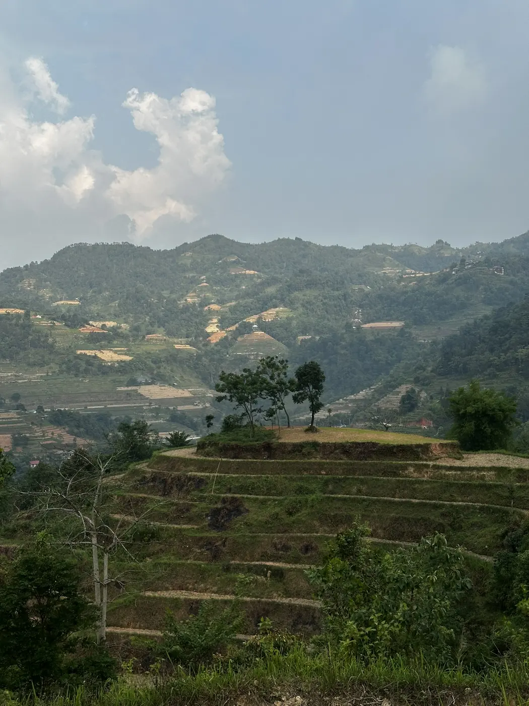 Flooded rice terraces reflect the sky across a stepped mountainside