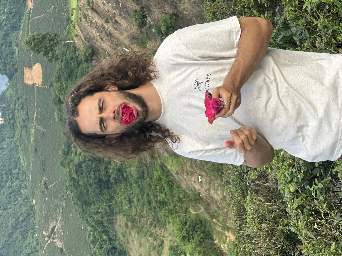 Traveler at the Moc Chau tea plantations, Vietnam