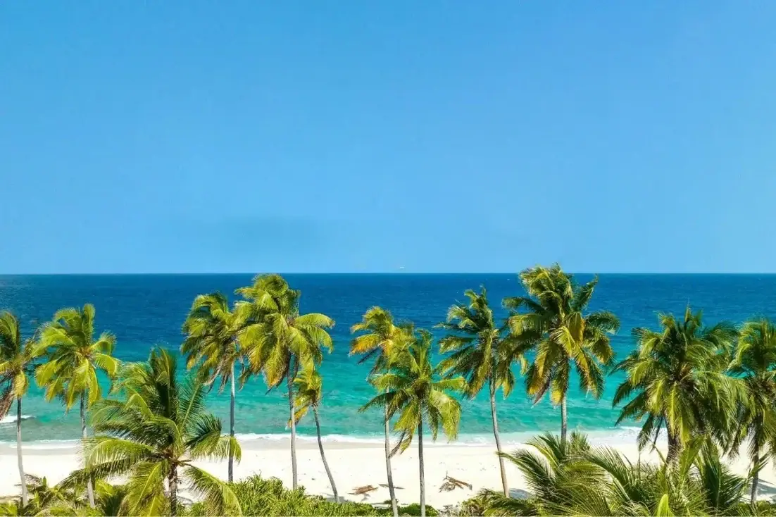 Palm trees against a clear blue sky over a tropical beach