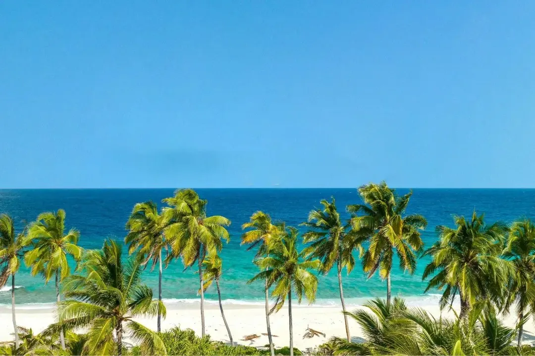 Palm trees and turquoise water — typical Southeast Asia coastal lifestyle