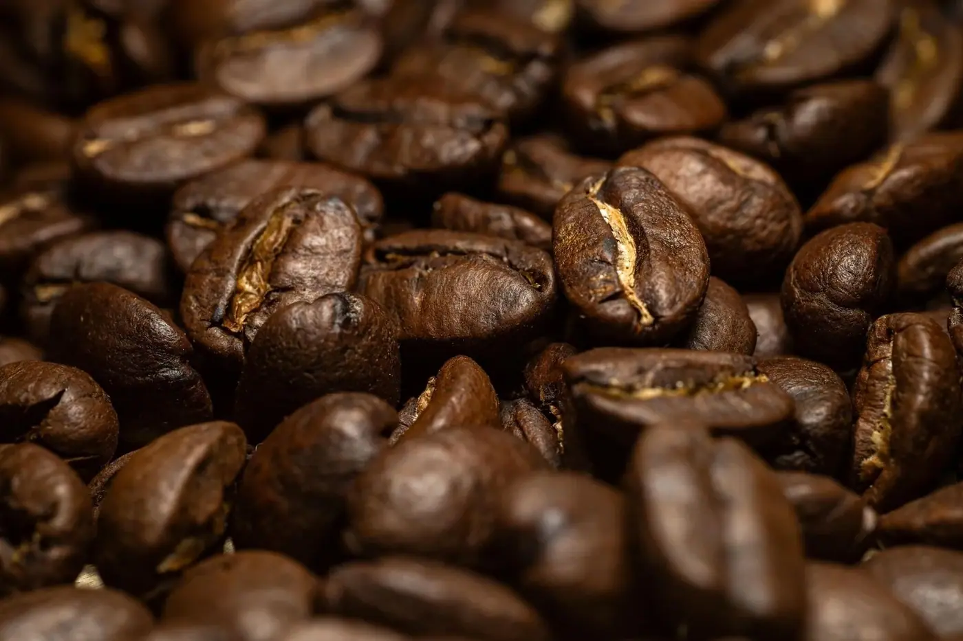 Close-up of dark roasted coffee beans
