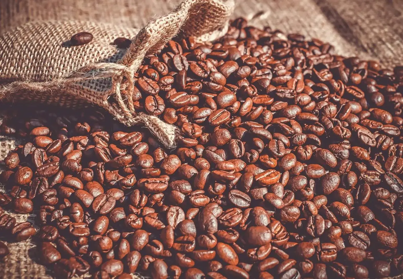 Roasted coffee beans spilling out of a burlap sack