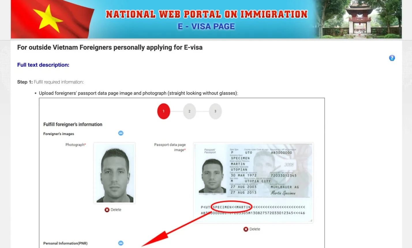 E-visa portal screenshot