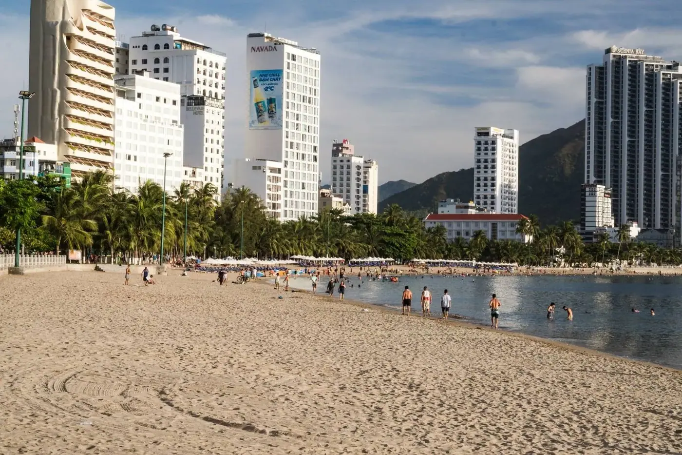 Urban Vung Tau beach with palm trees hotels Vietnam
