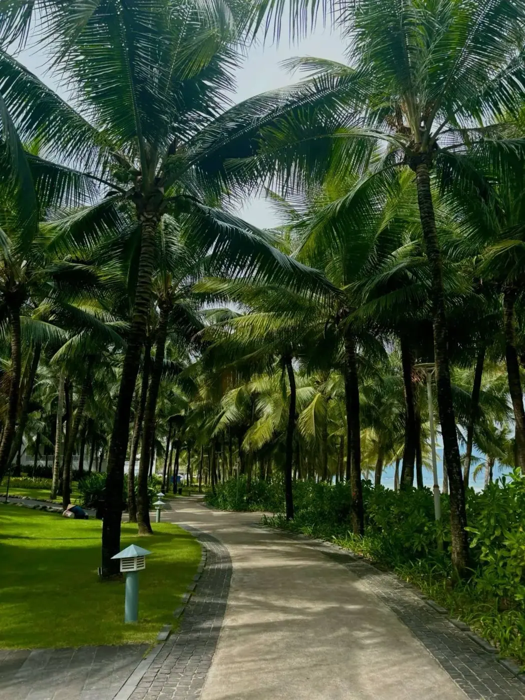 Long-haul flight to Vietnam as the biggest cost in a tour budget