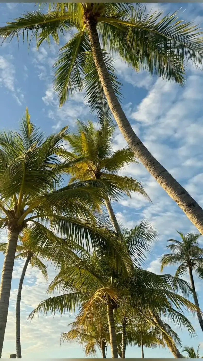 Building a cheaper flexible Vietnam beach trip without a package