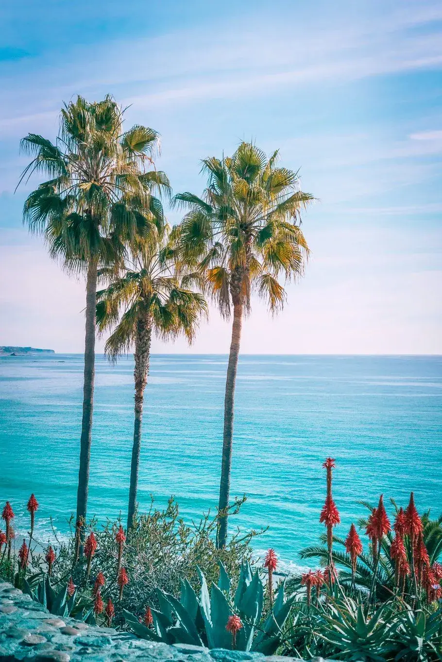 Phu Quoc tropical beach with palm trees and calm blue sea