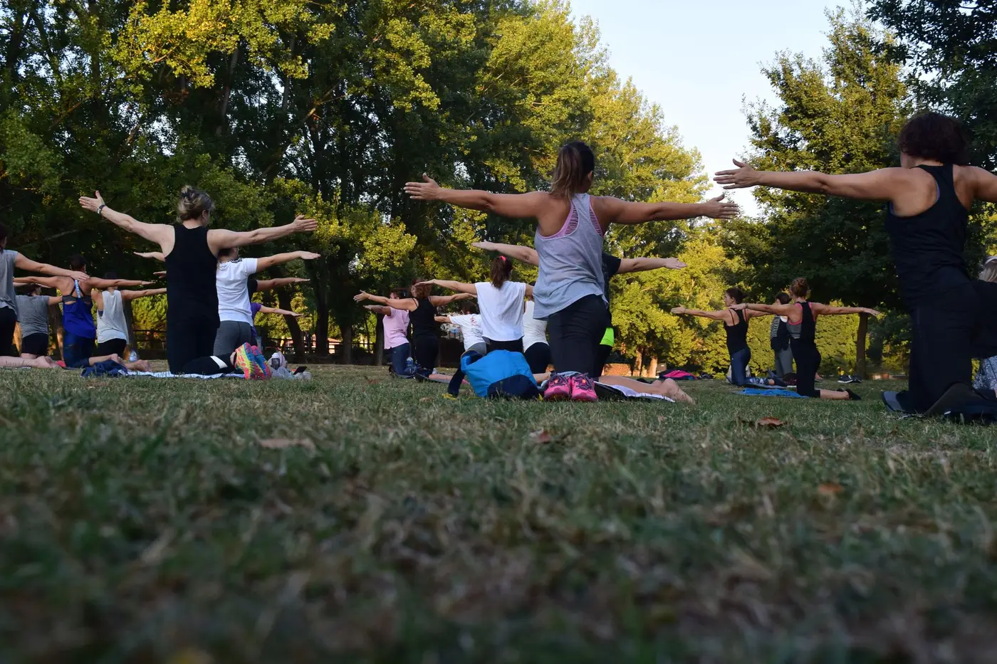A group of people practicing yoga outdoors in a park