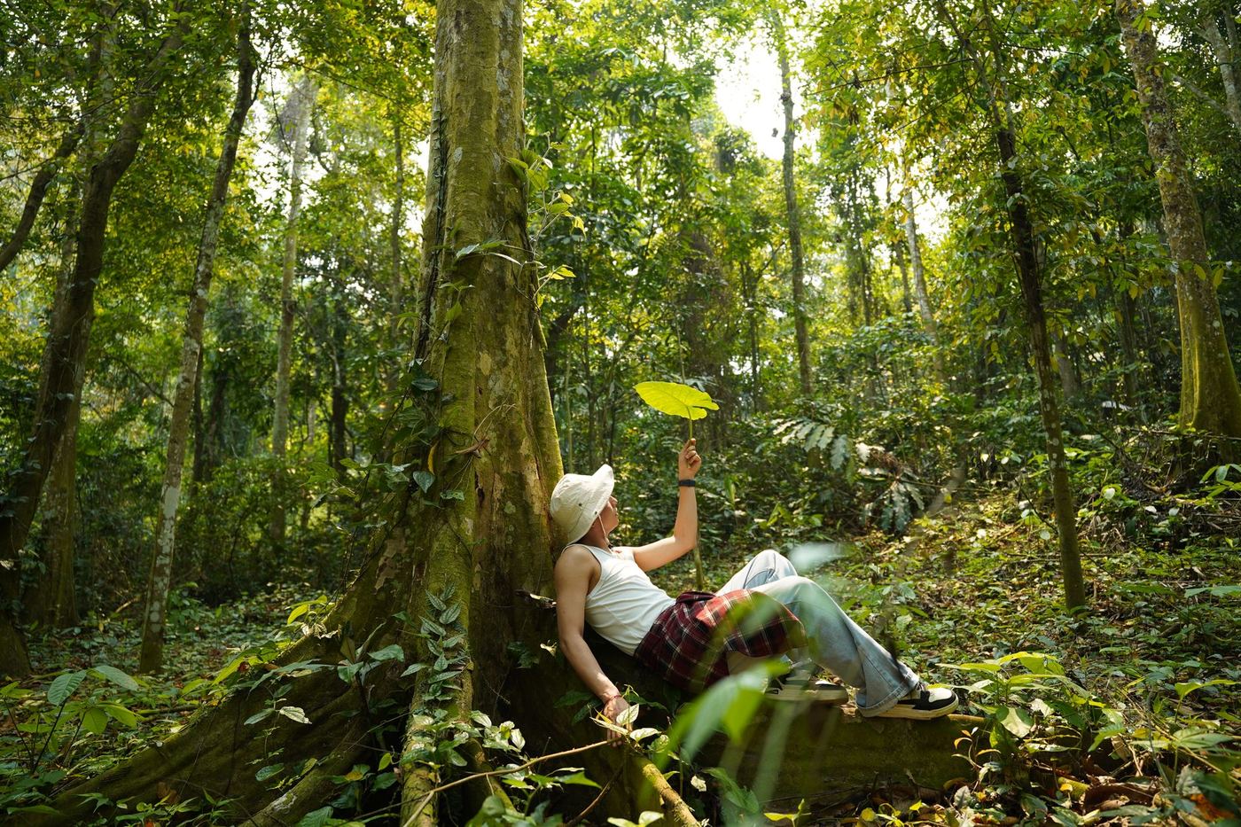 Hiker resting in the jungle of a Vietnamese national park