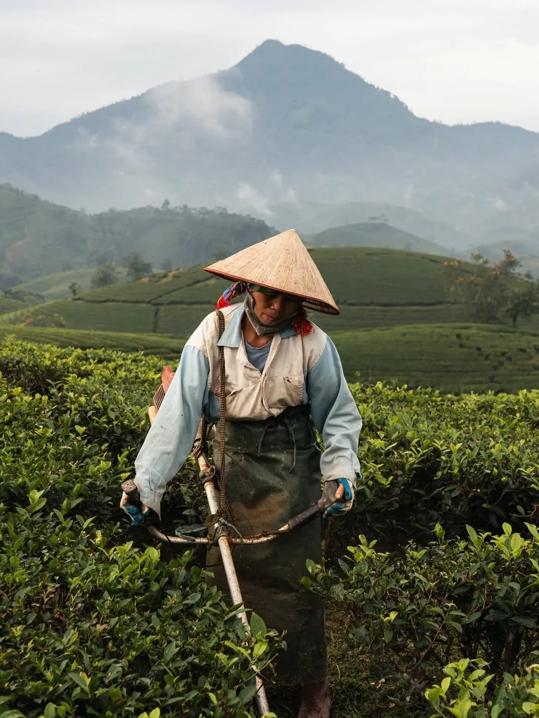 Vietnam