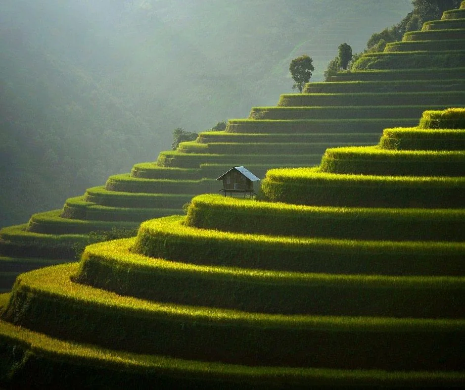 Sapa